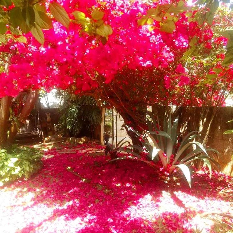 Pousada Rota Dos Passaros São Bento do Sapucaí Exteriér fotografie