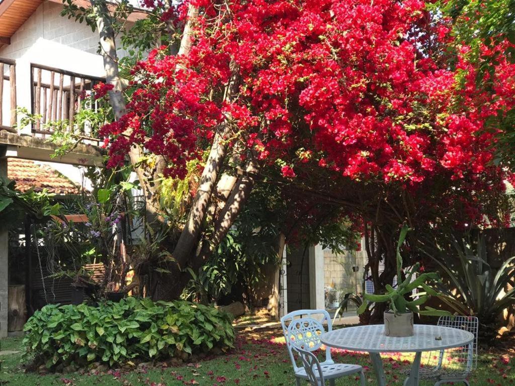 Pousada Rota Dos Passaros São Bento do Sapucaí Exteriér fotografie